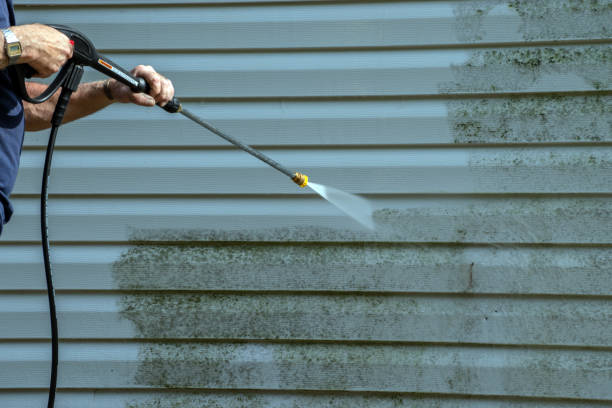 Best Roof Power Washing Services  in Brownsville, LA