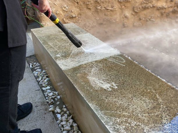 Best Local Pressure Washing Services  in Brownsville, LA