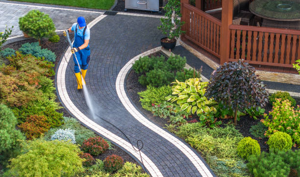 Best Exterior Home Cleaning  in Brownsville, LA